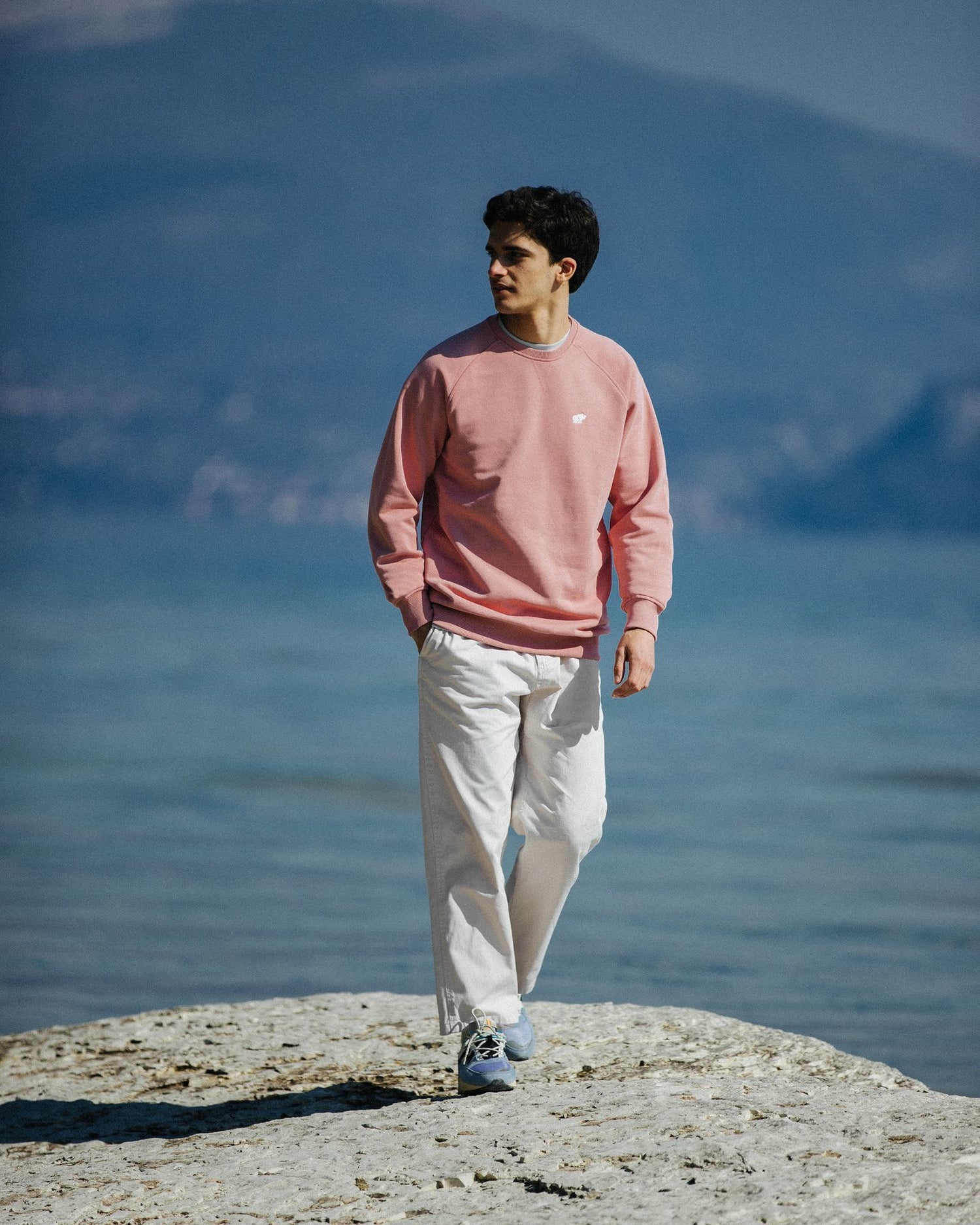 classic chest logo sweatshirt